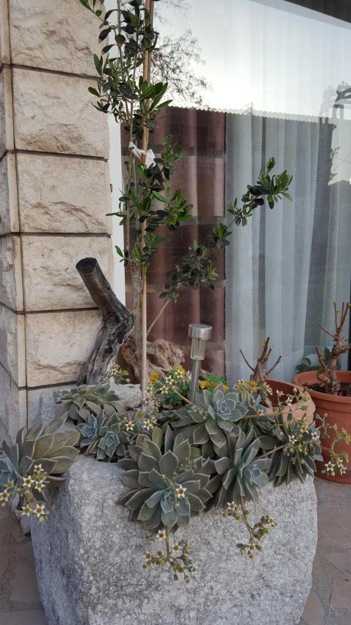 Apartmani Antunovic Podgora Exterior foto